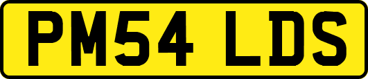 PM54LDS