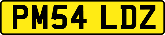 PM54LDZ