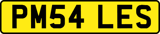 PM54LES