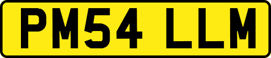 PM54LLM
