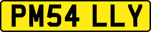 PM54LLY