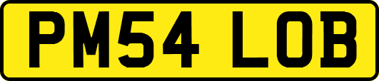 PM54LOB