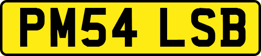 PM54LSB