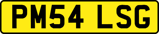 PM54LSG