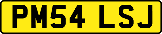 PM54LSJ