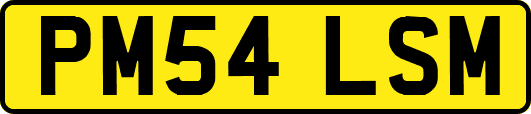 PM54LSM