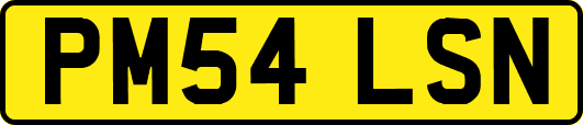 PM54LSN