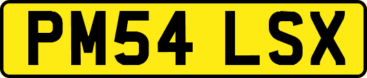 PM54LSX