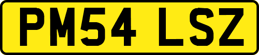 PM54LSZ