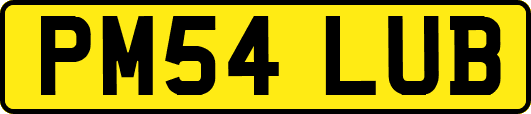 PM54LUB