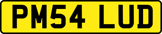 PM54LUD