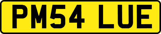 PM54LUE