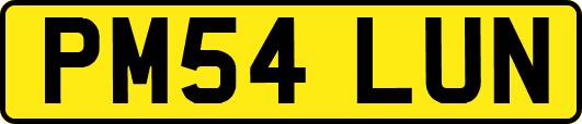 PM54LUN