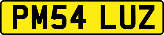 PM54LUZ
