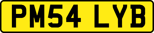 PM54LYB