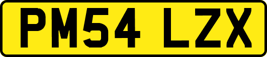 PM54LZX