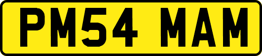 PM54MAM