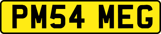 PM54MEG