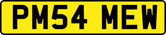 PM54MEW