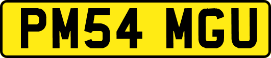 PM54MGU