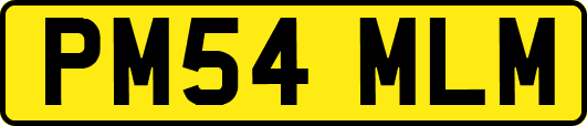 PM54MLM