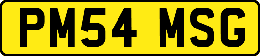 PM54MSG