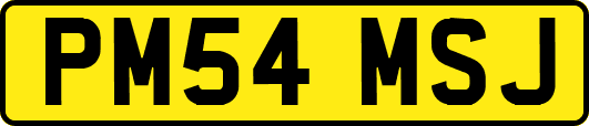 PM54MSJ