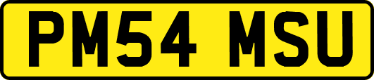 PM54MSU