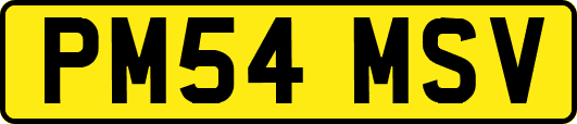 PM54MSV