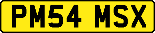 PM54MSX