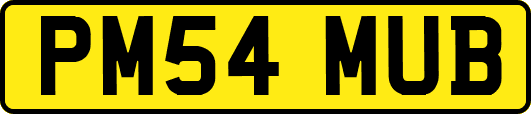 PM54MUB