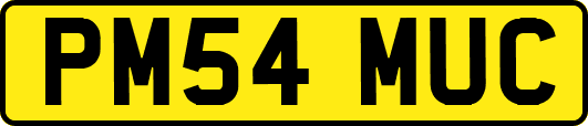 PM54MUC