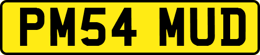 PM54MUD