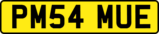 PM54MUE