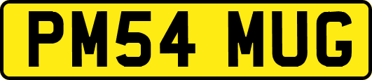 PM54MUG