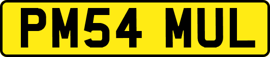 PM54MUL