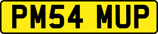 PM54MUP
