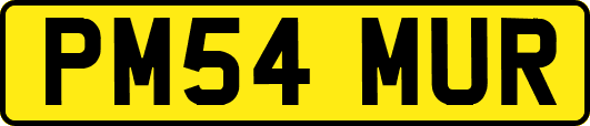 PM54MUR