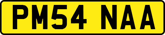PM54NAA