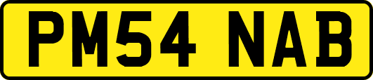 PM54NAB