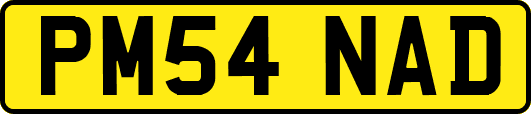 PM54NAD