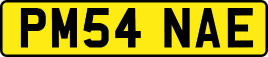 PM54NAE