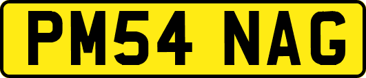 PM54NAG