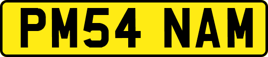 PM54NAM