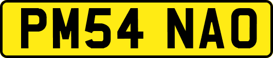 PM54NAO