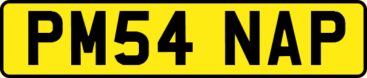 PM54NAP