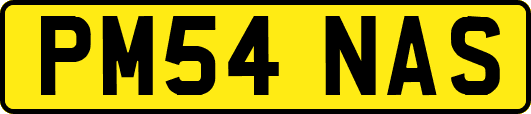 PM54NAS