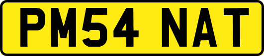 PM54NAT