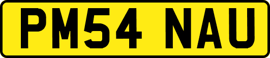 PM54NAU