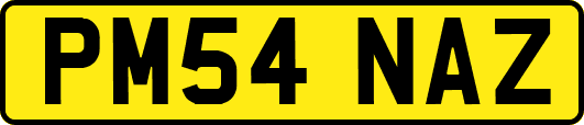 PM54NAZ